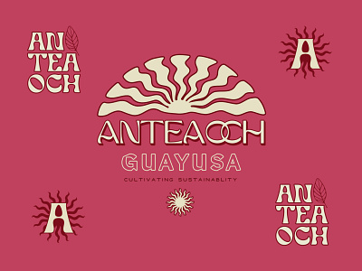 Anteaoch Tea branding central america coffee color theory desert design ecuador graphic design illustration jungle logo pink south america sun tea tea company vector