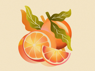 Citrus branding citrus color theory colorful design fruit fruit illustration fruity grapefruit graphic design illustration juicy logo orange procreate tea tropical tropical fruit vector