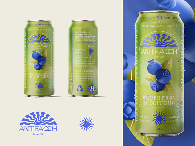 Blueberry Matcha blueberries brand identity branding coffee color theory design graphic design illustration kombucha logo matcha packaging product soda can tea tea company typography ui ux vector