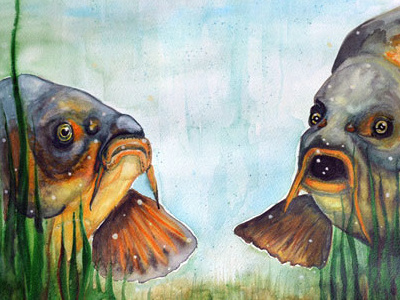 Carp illustration painting watercolour