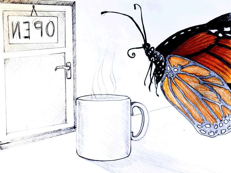 Butterfly & Mug butterfly drawing graphite pencil sketching