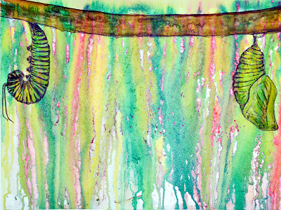 Caterpillar Pupating caterpillar chrysalis drawing illustration mixedmedia pen and ink pupa pupating watercolour