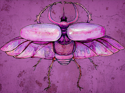 Scarab - For the Colour Collective beetle coloured pencil drawing fast visualisation illustration mixedmedia pen and ink purple scarab sketch watercolour