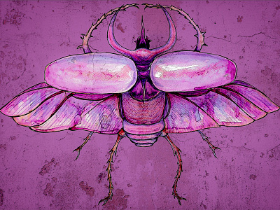 Scarab - For the Colour Collective