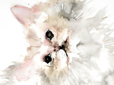 Curious Cat cat curious sketch watercolour