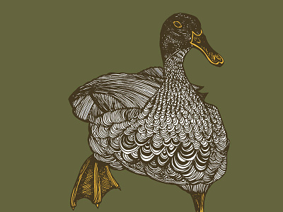 Busy Duck duck illustration mixed media patterns pen and ink waterfowl