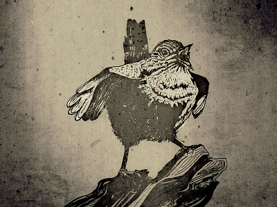 Self Opinionated Wren birds british birds illustration mixed media pen and ink sepia small birds texture wren