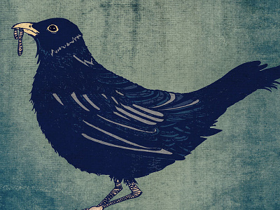 Snacking Blackbird bird blackbird early bird illustration mixed media worm