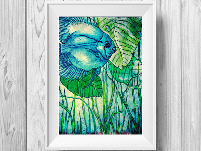 Blue Discus discus fish illustration mixed media pencil