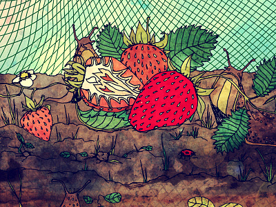 Strawbs fruit garden ladybird mixed media netting pen and ink slugs strawberries strawberry