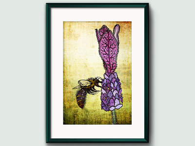 Bee on Lavender bee countryside garden illustration. mixed media insects lavender