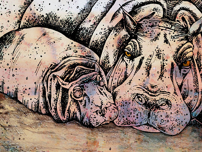Hippos hippo hippopotamus hippos illustration mixed media pen and ink