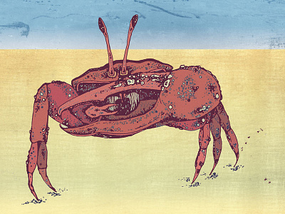 Crab On The Beach beach crab crustacean fiddler crab illustration mixed media pen and ink sand sea seaside
