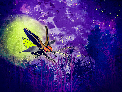 Lightning Bug