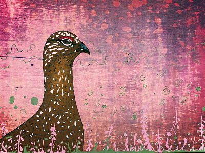 Grouse In Heather bird game game bird grouse heather hunting illustration mixed media moorland pink heather scotland shooting