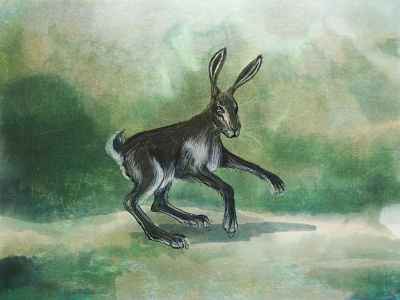 Dancing Hare