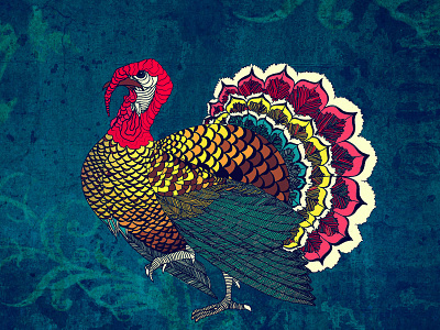 Fancy Turkey