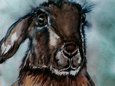 Pensive Hare drawing fine art hare illustration ink pencil traditional watercolour