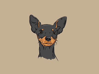 Chihuahua chihuahua dog illustration portrait