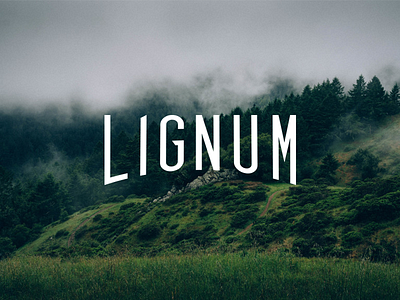 Lignum Logo