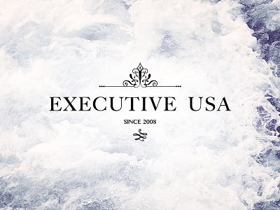 Case Study:EXECUTIVE USA Redesign branding clean photography responsive uiux