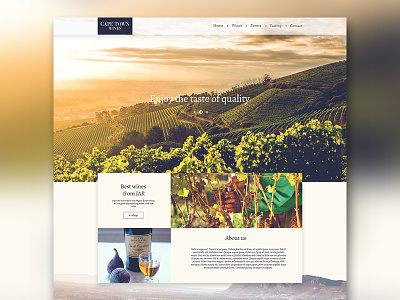 Cape Town Wines website art color design ui visual design we webdesign website wine winery wines