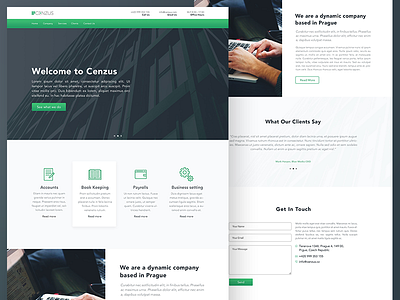 Accounting Company Website accountancy accountatn design finance green home page landing minimal page simple webdesign website