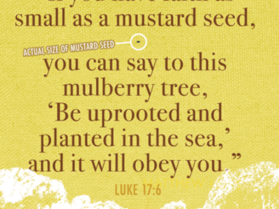 Luke 17:6 Bulletin cover bible botany christianity color design illustration mustard photoshop typography