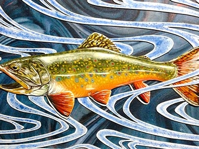 Trout card cut paper fly fishing gouache painting paper cut paper sculpture trout watercolor