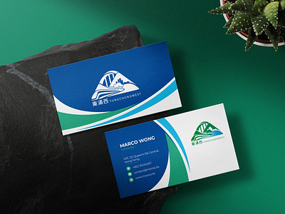 Real Estate Company Logo Design and Mockup