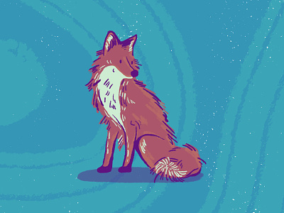 Fox fox