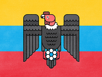 Ecuador 2019 animal bird condor copa america design ecuador flat football illustration minimal monoline soccer vector vulture