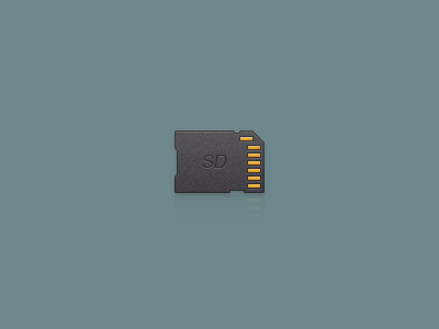 Sd Card