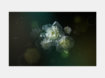 Blooming Data