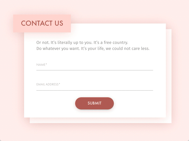 A Very Bad 'Contact Us' Form animation contact us form interaction interaction design name principle ui