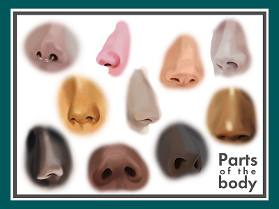 Parts of the body. Noses illustration photoshop