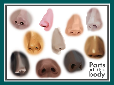 Parts of the body. Noses