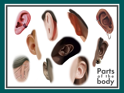 Ears. Parts of the body illustration photoshop