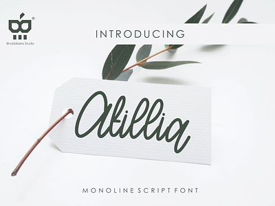 Atillia font handwritten lettering scriptfont
