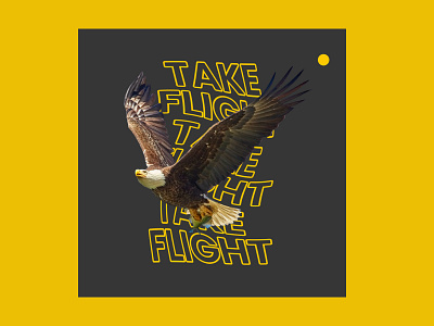 Take Flight bend creative design illustration typography vector warp