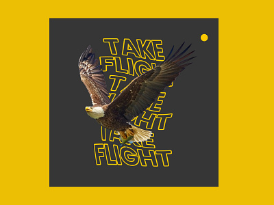 Take Flight