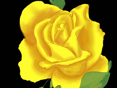 Day 4 of 100 — Yellow Rose 100dayproject illustration procreate