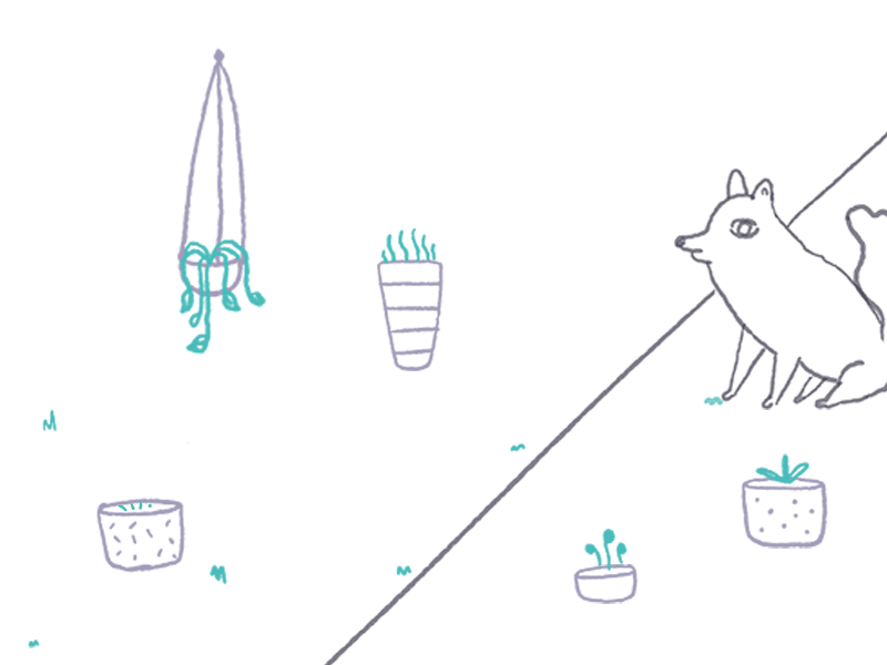 Plant Life animation dog frame by frame lines magic plant psd