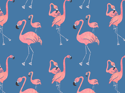 Flamingo Pattern animal animals blue design designer designs flamingo pattern patterns pink tropical