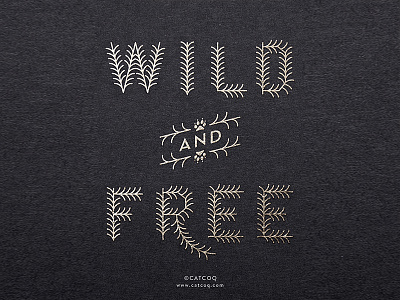 Wild & Free type typography