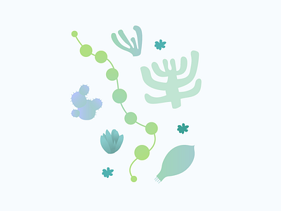 Succulent Pattern gradient light pattern plants succulents