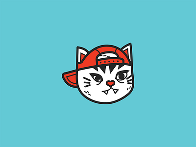 cool cat with a cap