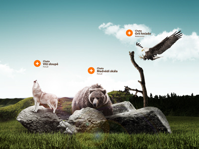 Beskydy's chalets website concept bear eagle effects manipulation nature photo photomanipulation postproduction wolf