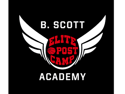 Basketball Elite Post Camp T-Shirt Design #3