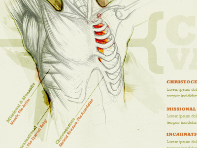 Core Values analogy infographic medical illustration rockwell watercolor